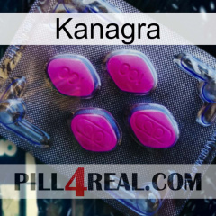 Kanagra 02